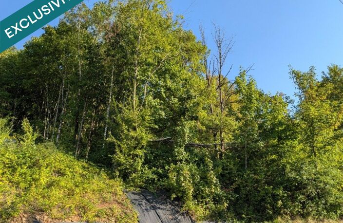 TERRAIN CONSTRUCTIBLE DE 2052 m²  CENTRE-VILLE DE SALINS-LES-BAINS  VUE DÉGAGÉE — photo 2