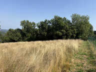 Terrain Arrodets Ez Angles 1370 m2 — photo 3