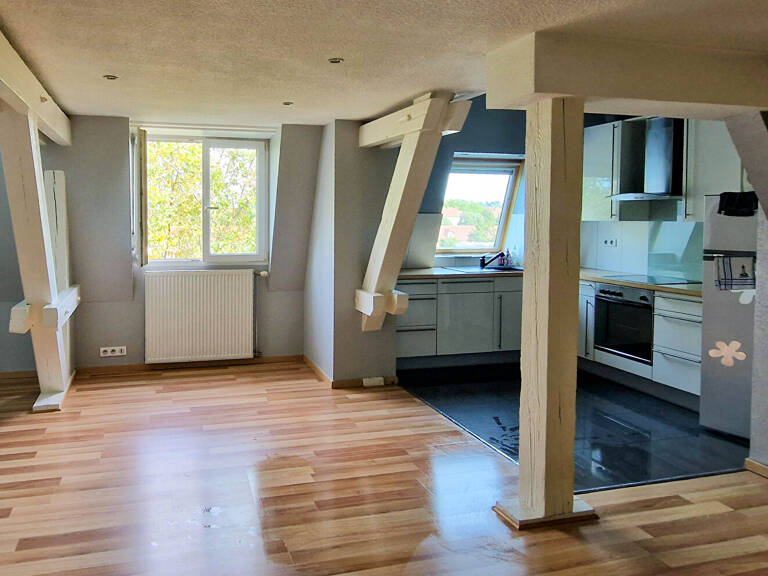 LOCATION : appartement T3 (69 m²) à MULHOUSE — photo 1