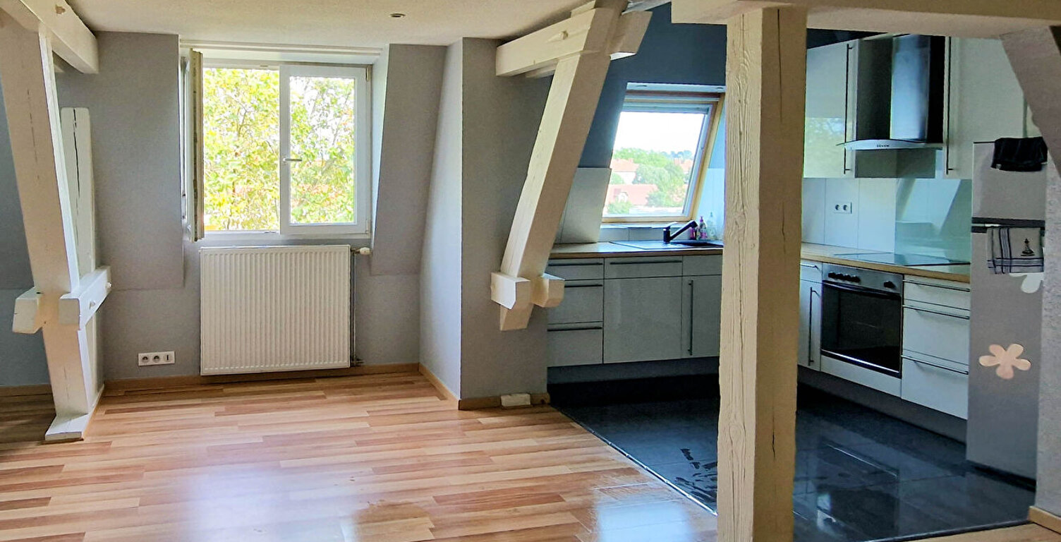 LOCATION : appartement T3 (69 m²) à MULHOUSE — photo 1