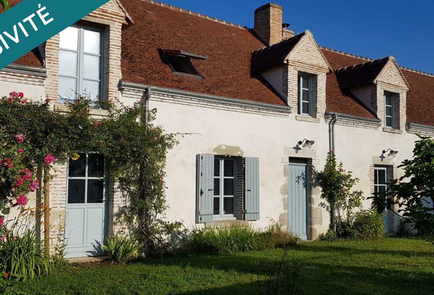 Entre Loire et nature, une vigneronne d'exception — photo 1