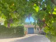 Maison en pierre. — photo 4