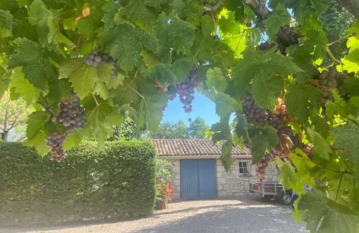 Maison en pierre. — photo 4