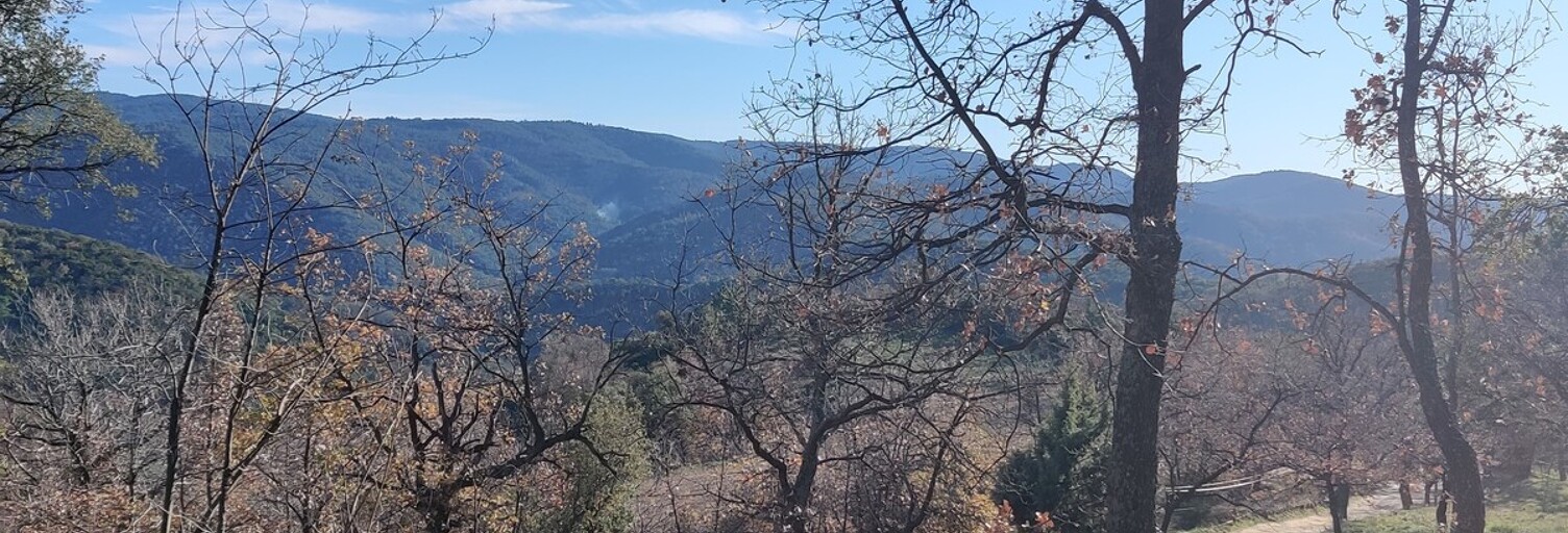 Terrain  10970 m² à vendre à Collobrières (83610)