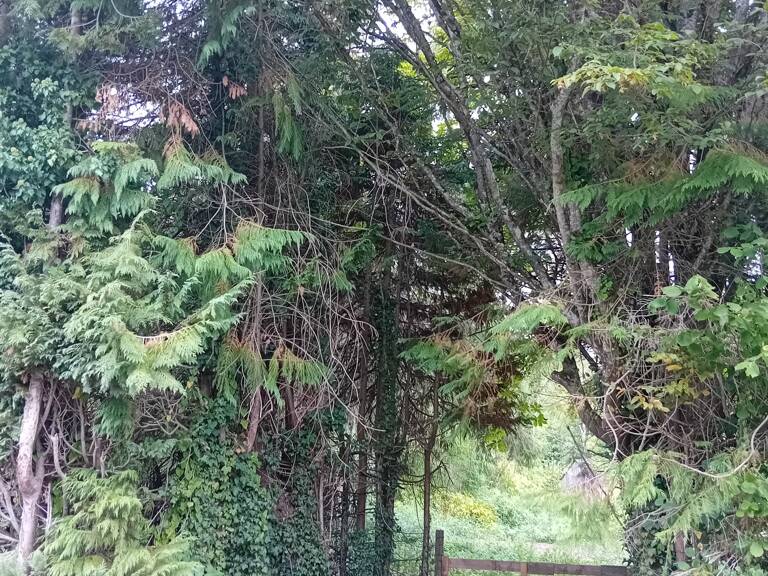 Vente Terrain 1 100 m&sup2; — photo 1
