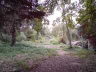 Vente Terrain 1 100 m&sup2; — photo 4