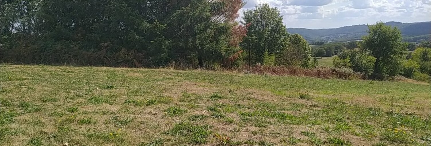 Terrain  8900 m² à vendre à Louignac (19310)