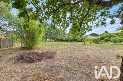Terrain  74000 €