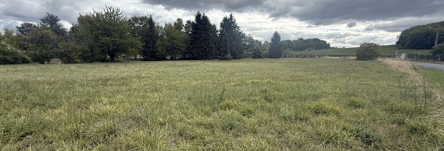 Terrain  1338 m² à vendre à Vernou-sur-Brenne (37210)