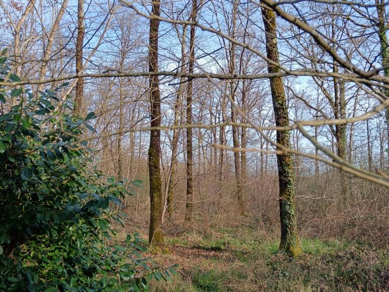 Vente Terrain 24 045 m&sup2; — photo 1