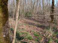 Vente Terrain 24 045 m&sup2; — photo 2