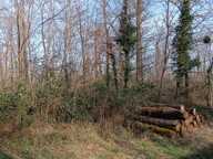 Vente Terrain 24 045 m&sup2; — photo 3