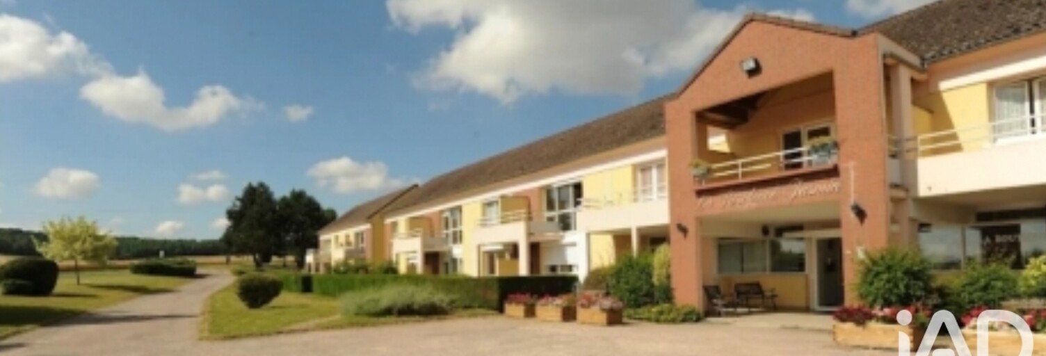 Appartement 1 Pièce 32 m² à vendre à Thorigny-sur-Oreuse (89260)