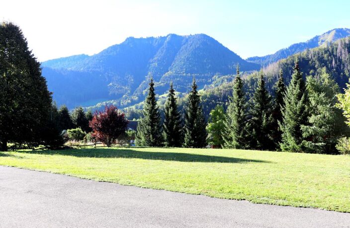 CHALET 7 pièces ABONDANCE (74)- — photo 3