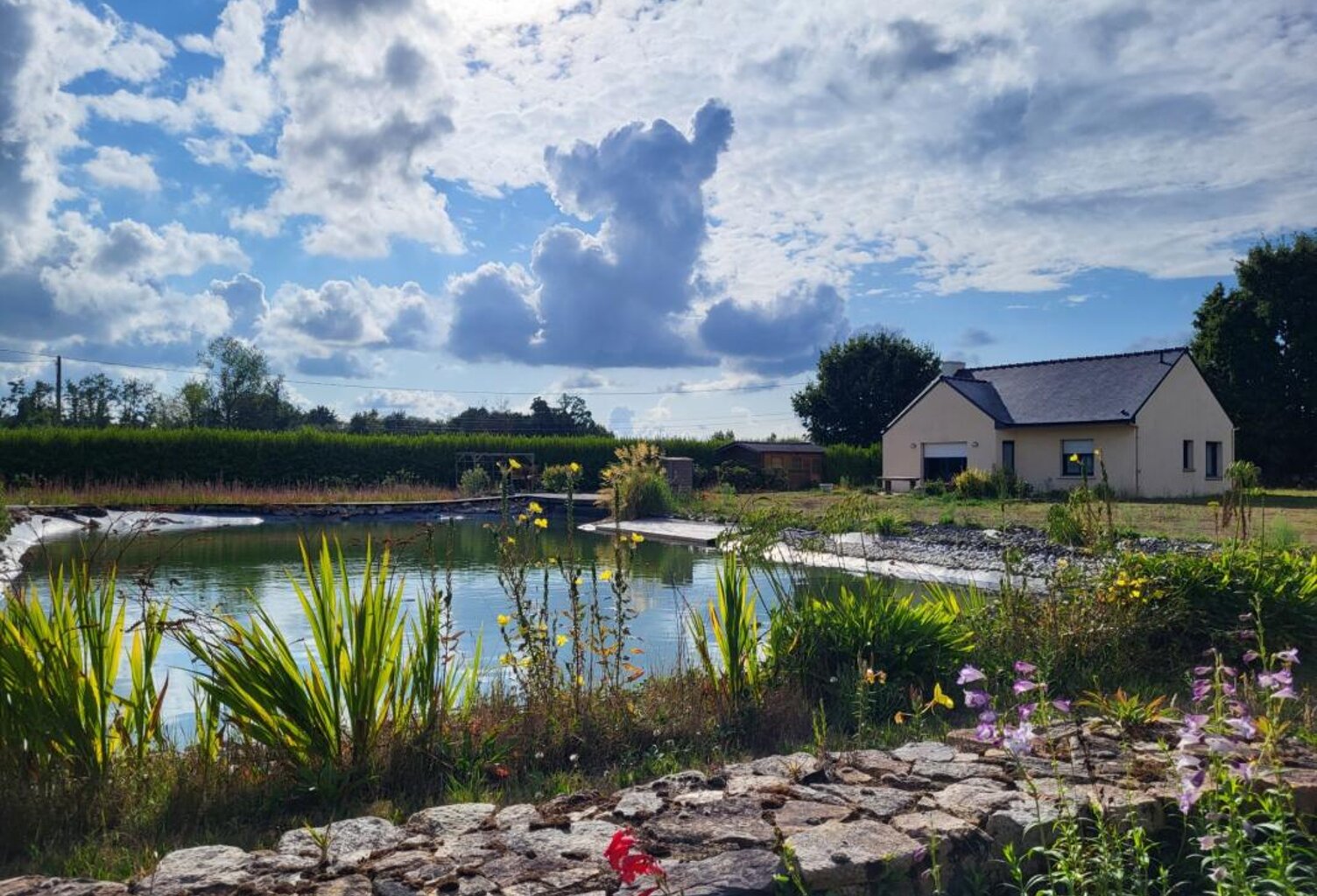 Maison de plain-pied à QUEMPERVEN (22450), piscine naturelle et verger ! — photo 1
