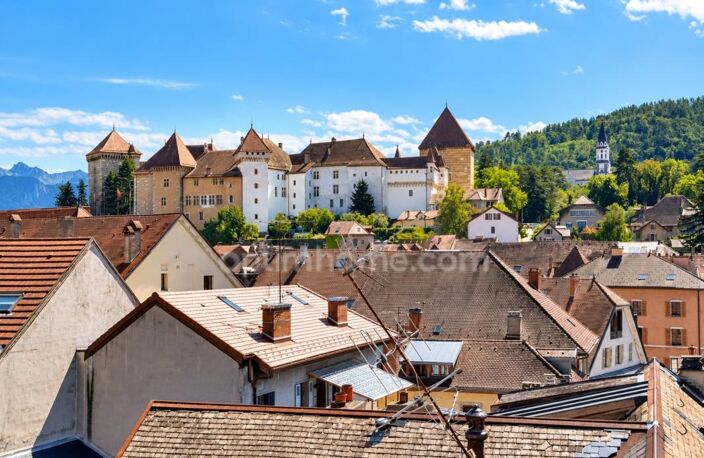 ANNECY CENTRE – APPARTEMENT D’EXCEPTION AVEC VUE SUR LES TOITS ET LES MONTAGNES — photo 5