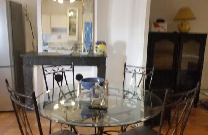 Appartement de 45m2 à louer sur Neuville-sur-Saône — photo 4