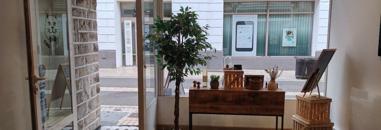 Commerce  41 m² à louer à Aire-sur-l'Adour (40800)