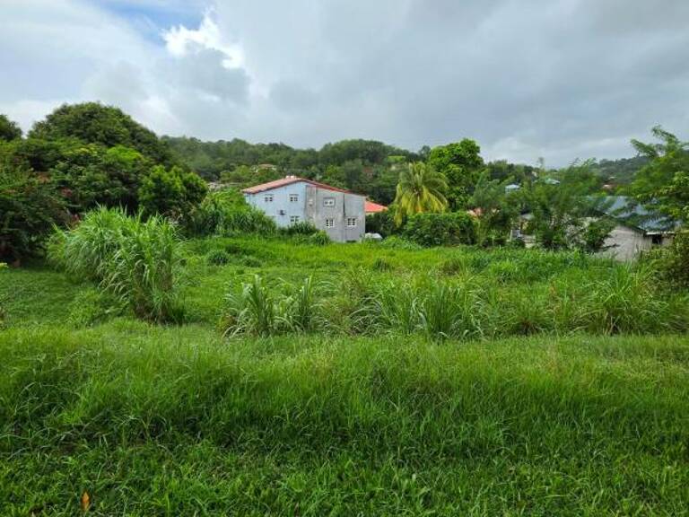 Terrain À Vendre — photo 1