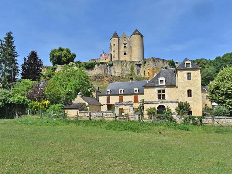 Demeure de prestige Salignac Eyvignes 9 pièce(s) 275 m2 — photo 1