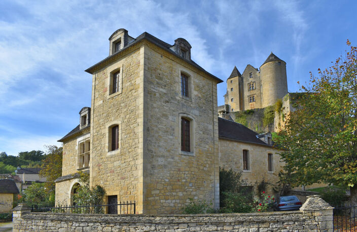 Demeure de prestige Salignac Eyvignes 9 pièce(s) 275 m2 — photo 3