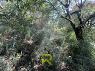 A saisir superbe terrain — photo 2