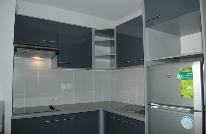 Location maison 3 pièces 69 m² à Castelginest (31780) — photo 4