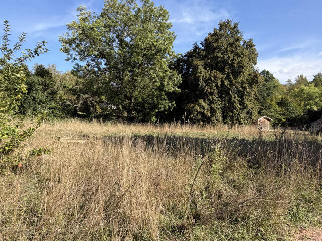 A L'OREE DE LA FORET — photo du bien