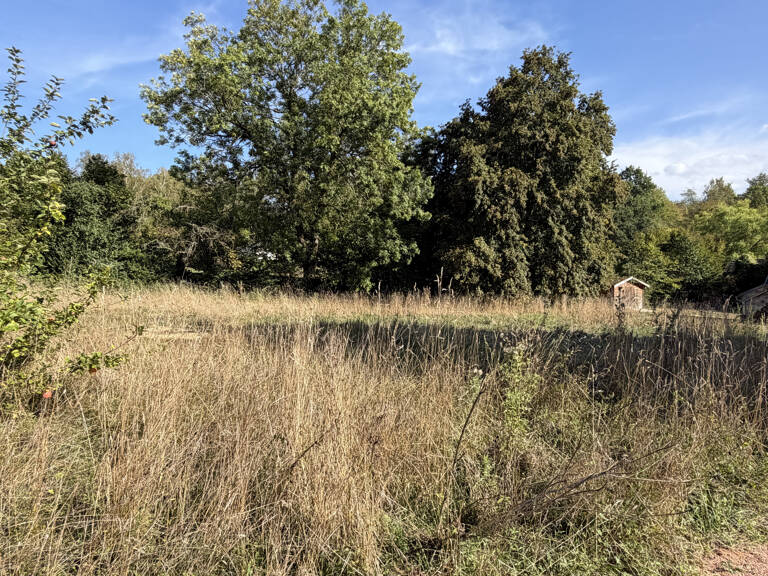 A L'OREE DE LA FORET — photo 1