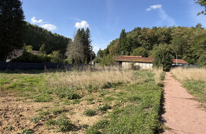 A L'OREE DE LA FORET — photo 2