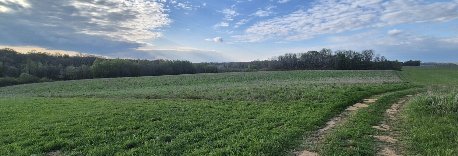 Terrain  80014 m² à vendre à Vivier-au-Court (08440)