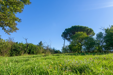 Terrain  139000 €