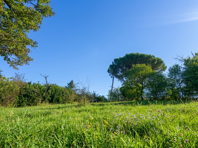 TERRAIN AVEC VUE DEGAGEE, AU CALME, PROCHE DE LYON & ST ETIE — photo du bien