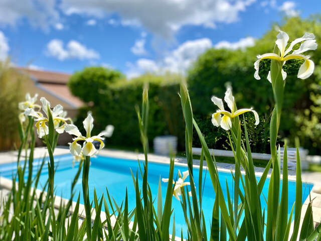 ENTRE BRIGNAIS ET MORNANT VILLA 230 M2 SUR 1200 M2 DE TERRAI — photo du bien