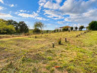 Terrain à bâtir de 898 m² sur Biaudos à viabiliser — photo 4
