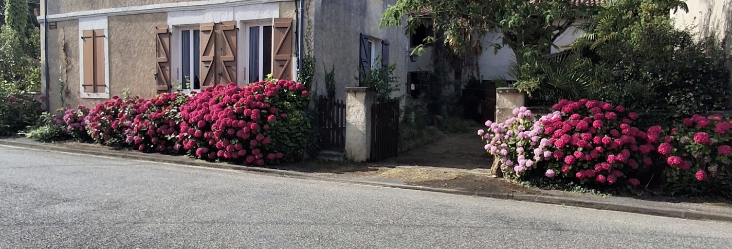 Photo N° 2