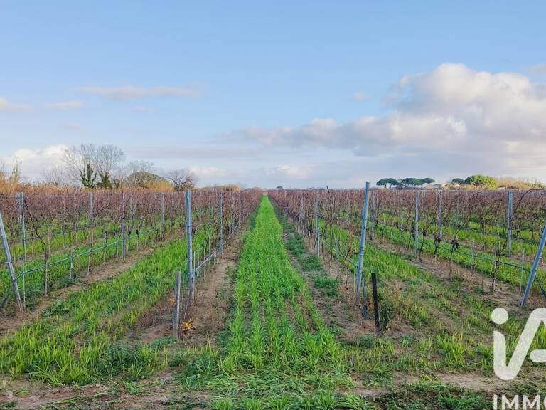 Vente Terrain agricole 90 000 m&sup2; — photo 1