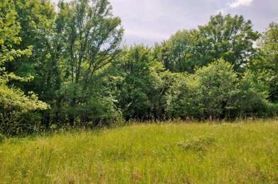 Terrain  31000 €