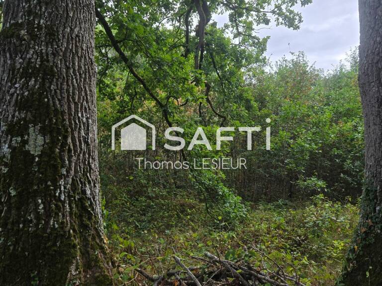 au calme — photo 1