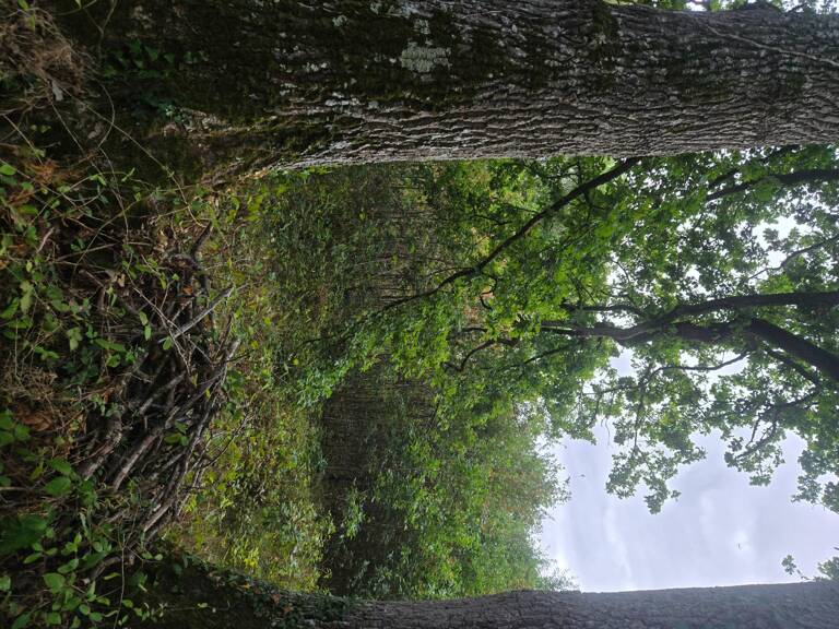 au calme — photo 1