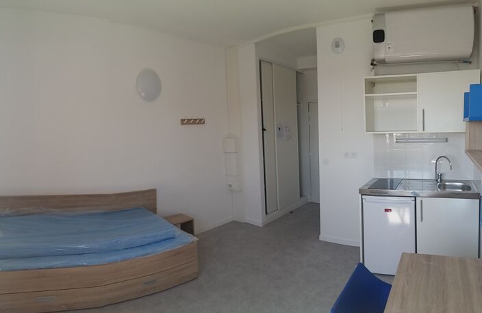 Location appartement 1 pièce 18 m² à Caluire-et-Cuire (69300) — photo 3
