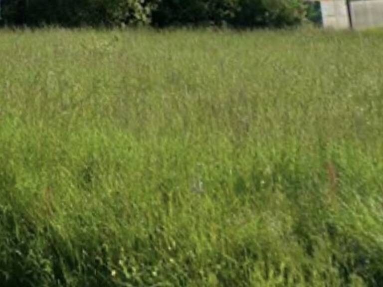 Vente Terrain à bâtir 784 m&sup2; — photo 1