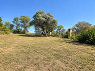 Ancienne Ferme 113m² habitables sur plus de 5000m² — photo 2