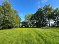 Maison de charme  - 124m² - 4 chambres - Dépendances - 2 Hectares de terrain - BOSC LE HARD — photo 2