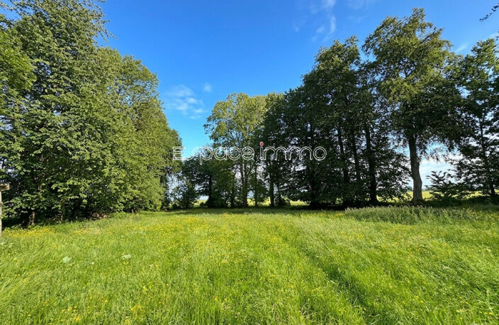 Maison de charme  - 124m² - 4 chambres - Dépendances - 2 Hectares de terrain - BOSC LE HARD — photo 2