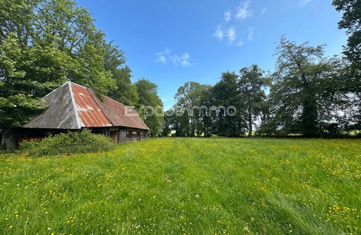 Maison de charme  - 124m² - 4 chambres - Dépendances - 2 Hectares de terrain - BOSC LE HARD — photo 3