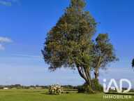 Vente Maison de campagne 6 pièces — photo 3