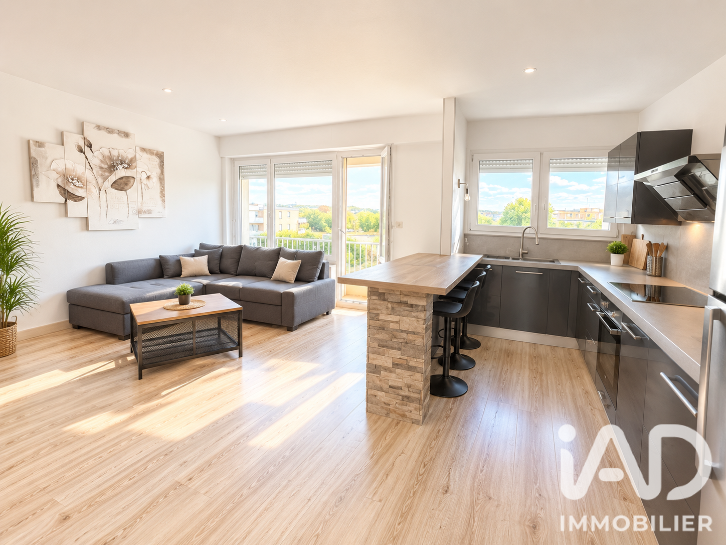 Agence immobilière de I@D FRANCE