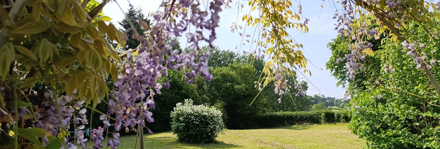 Photo N° 2