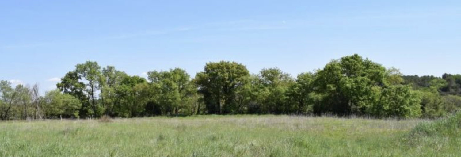 Terrain  571 m² à vendre à Galargues (34160)